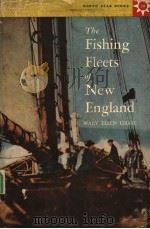THE FISHING FLEETS OF NEW ENGLAND PDF电子版封面