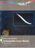 THE MARINE FAUNA OF NEW ZEALAND:CHAETOGNATHA ARROW WORMS PDF电子版封面 0478083092
