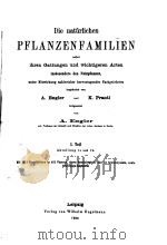 DIE NATURLICHEN PFLANZENFAMILIEN PDF电子版封面