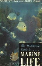 THE UNDERWATER GUIDE TO MARINE LIFE PDF电子版封面