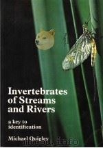 INVERTEBRATES OF STREAMS AND RIVERS A KEY TO IDENTIFICATION PDF电子版封面 0713100915