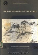MARINE MAMMALS OF THE WORLD PDF电子版封面 9251032920 THOMAS A.JEFFERSON STEPHEN LE