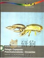 THE ANTS OF NEVADA（ PDF版）