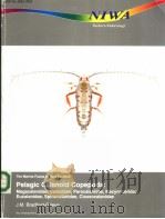 THE MARINE FAUNA OF NEW ZEALAND:PELAGIC CALANOID COPEPODA PDF电子版封面 0478083335 J.M.BRADFORD-GRIEVE