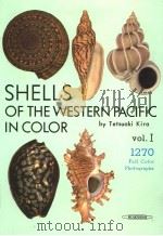 SHELLS OF THE WESTEN PACIFIC IN COLOR VOL.I PDF电子版封面 TETSUAKI KIRA