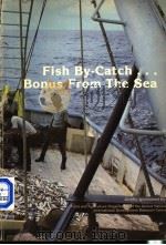 FISH BY CATCH BONUS FROM THE SEA（ PDF版）
