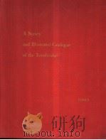 A SURVEY AND ILLUSTRATED CATALOGUE OF THE TEREDINIDAE PDF电子版封面 RUTH D.TURNER