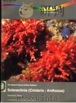 THE MARINE FAUNA OF NEW ZEALAND:SCLERACTINIA (CNIDARIA:ANTHOZOA) PDF电子版封面 0478083351 STEPHEN D.CAIRNS