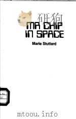 MR CHIP IN SPACE MARIE STUTTARD PDF电子版封面 GREG WHITECLIFFE