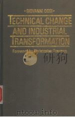 TECHNICAL CHANGE AND INDUSTRIAL TRANSFORMATION PDF电子版封面 0333363434