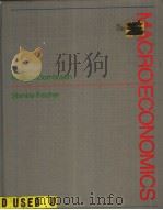 MACRO ECONOMICS RUDIGER DORNBUSCH STANLEY FISCHER  FOURTH EDITION     PDF电子版封面  0070177767   
