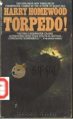 HARRY HOMEWOOD TORPEDO! PDF电子版封面