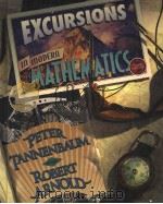 EXCURSIONS IN MODERN MATHEMATICS THIRD EDITION PDF电子版封面 0135983355