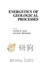 ENERGETICS OF GEOLOGICAL PROCESSES HANS RAMBERG ON HIS 60TH BIRTHDAY PDF电子版封面 0387081194 SURENDRA K.SAXENA SOMDEV BHAT