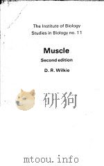 MUSCLE SECOND EDITION PDF电子版封面 0713121904 D.R.WILKIE