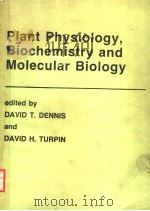 PLANT PHYSIOLOGY,BIOCHEMISTRY AND MOLECULAR BIOLOGY PDF电子版封面 0582460522 DAVID T.DENNIS DAVID H.TURPIN