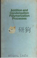 ADDITION AND CONDENSATION POLYMERIZATION PROCESSES PDF电子版封面 NORBERT A.J.PLATZER