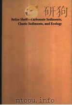 BELIZE SHELF-CARBONATE SEDIMENTS,CLASTIC SEDIMENTS,AND ECOLOGY PDF电子版封面 0891810013 KENNETH F.WANTLAND AND WALTER