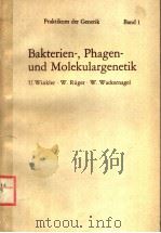 BAKTERIEN-,PHAGEN- UND MOLEKULARGENETIK PDF电子版封面 3540059881 U.WINKLER W.RUGER W.WACKERNA