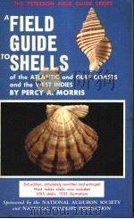 A FIELD GUIDE TO SHELLS OF THE ATLANTIC AND GULF COASTS AND THE WEST INDIES PDF电子版封面 0395171709 PERCY A.MORRIS