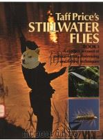TAFF PRICE‘S STILLWATER FLIES BOOK 3 PDF电子版封面 0510225438