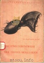 BAU UND LEBENSWEISE DER TIEFSEEMOLLUSKEN PDF电子版封面