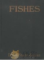 FISHES（ PDF版）