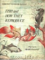 FISH AND HOW THEY REPRODUCE PDF电子版封面 0823402851