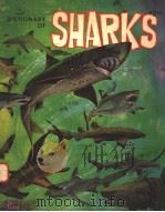 A DICTIONARY OF SHARKS  FIRST EDITION     PDF电子版封面  0820001155  PATRICIA E.POPE 