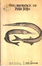 THE ROMANCE OF FISH LIFE PDF电子版封面 W.A.HUNTER