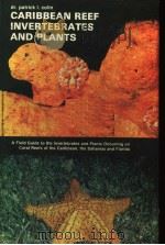 CARIBBEAN REEF INVERTEBRATES AND PLANTS（ PDF版）