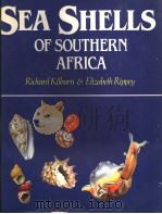 SEA SHELLS OF SOUTHERN AFRICA（ PDF版）