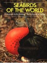 SEABIRDS OF THE WORLD PDF电子版封面 0871962497 ERIC HOSKING RONALD M LOCKLEY