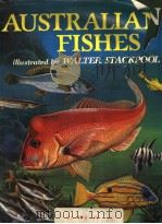 AUSTRALLAN FISHES PDF电子版封面