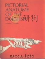 PICTORIAL ANATOMY OF THE DOGFISH PDF电子版封面 0295951486 STEPHEN G.GILBERT