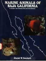 MARINE ANIMALS OF BAJA CALIFORNIA A GUIDE TO THE COMMON FISH AND INVERTEBRATES PDF电子版封面 0930036249 DANIEL W.GOTSHALL