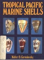 TROPICAL PACIFIC MARINE SHELLS（ PDF版）
