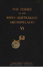 THE FISHES OF THE INDO-AUSTRALIAN ARCHIPELAGO 6（ PDF版）
