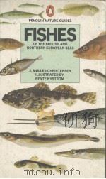 FISHES OF THE BRITISH AND NORTHERN EUROPEAN SEAS PDF电子版封面 0140630015 J.MOLLER CHRISTENSEN
