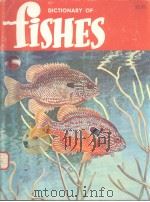 DICTIONARY OF FISHES ELEVENTH EDITION PDF电子版封面
