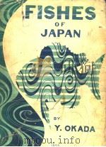 FISHES OF JAPAN ILLUSTRATIONS AND DESCRIPTIONS OF FISHS OF JAPAN PDF电子版封面