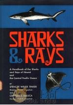 SHARKS & RAYS PDF电子版封面 SPENCER WILKIE TINKER AND CHAR