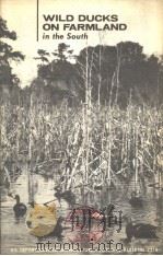 WILD DUCKS ON FARMLAND IN THE SOUTH PDF电子版封面