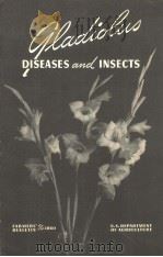 GLADIOLUS DISEASES AND INSECTS     PDF电子版封面     