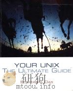YOUR UNIX THE ULTIMATE GUIDE PDF电子版封面 0072405007 SUMITABHA DAS