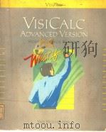 VISICALC ADVANCED VERSION WORKSHEETS FOR BUSINESS PDF电子版封面 0912213000 VAN WOLVERTON
