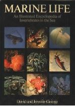 MARINE LIFE：AN ILLUSTRATED ENCYCLOPEDIA OF INVERTEBRATES IN THE SEA（ PDF版）