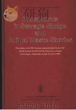 PHOSPHORUS IN SEWAGE SLUDGE AND ANIMAL WASTE SLURRIES PDF电子版封面 9027703175 T.W.G.HUCKER G.CATROUX