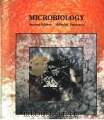 MICROBIOLOGY  SECOND EDITION     PDF电子版封面  0395296498  NEAL D.BUFFALOE  DALE V.FERGUS 