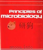 PRINCIPLES OF MICROBIOLOGY NINTH EDITION PDF电子版封面 0801646820